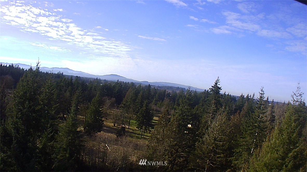 369 Hart Road, Unit 38 Winlock, WA 98596 - Photo 28 of 33 a view of a city with lush green forest
