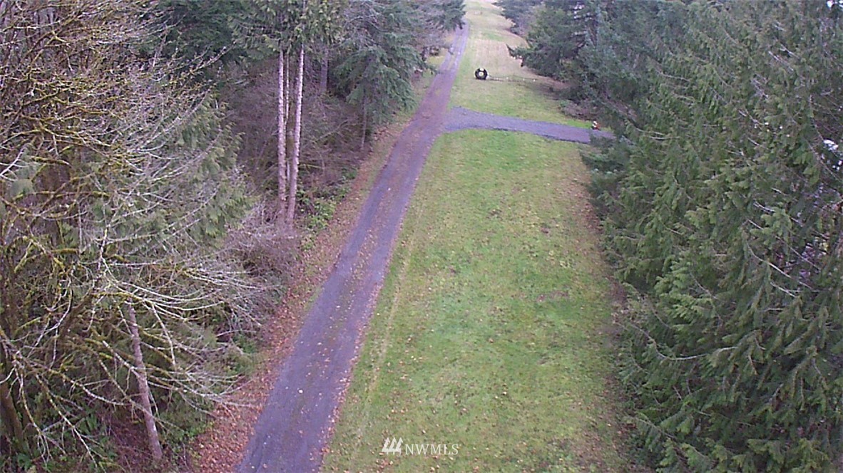 369 Hart Road, Unit 38 Winlock, WA 98596 - Photo 32 of 33 a picture of a tree