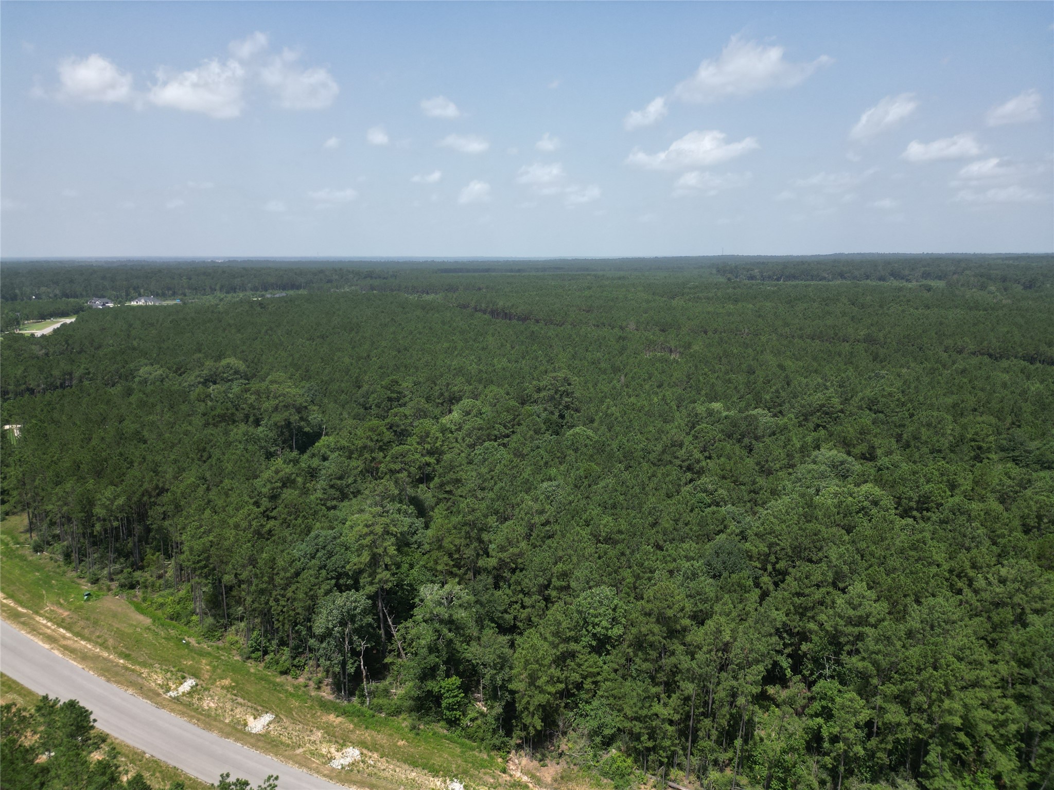 15884 Ridge Oak Road Willis, TX 77378 - Photo 14 of 24