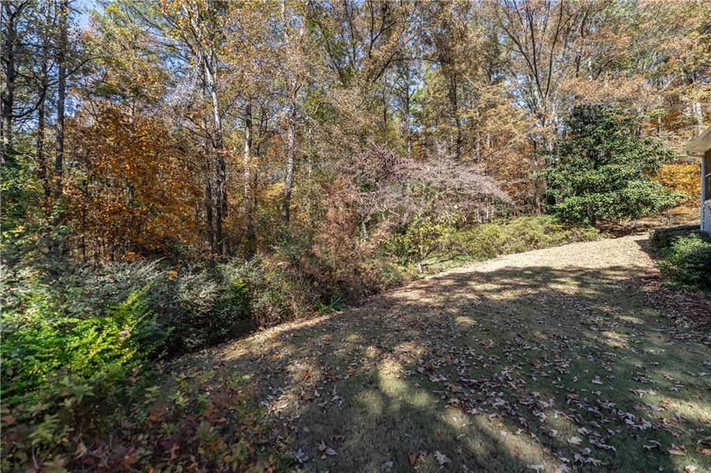 36 Saddle Mountain Road Southeast Rome, GA 30161 - Photo 41 of 42 a view of a yard with a tree