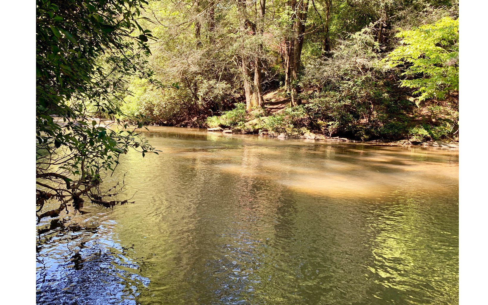 Stillwell Road Ellijay, GA 30540 - Photo 1 of 1