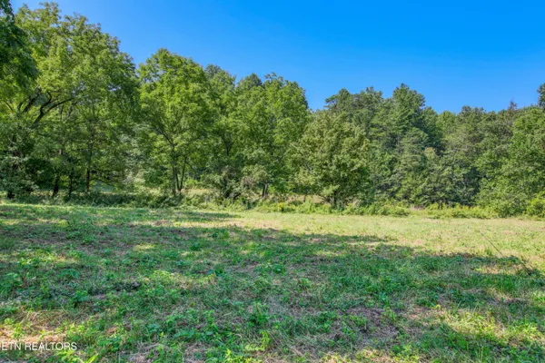 $925,000 | Belcher Loop, Tellico Plains, TN 37385