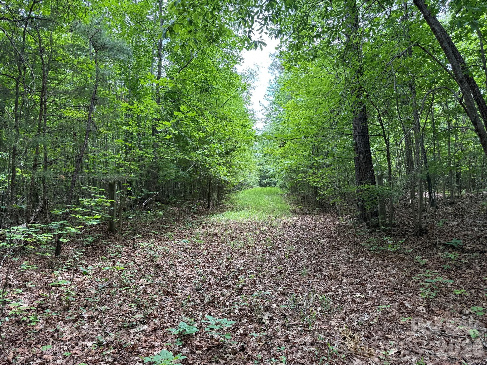 0 Herbert Faucette Road Bullock, NC 27507 - Photo 2 of 40