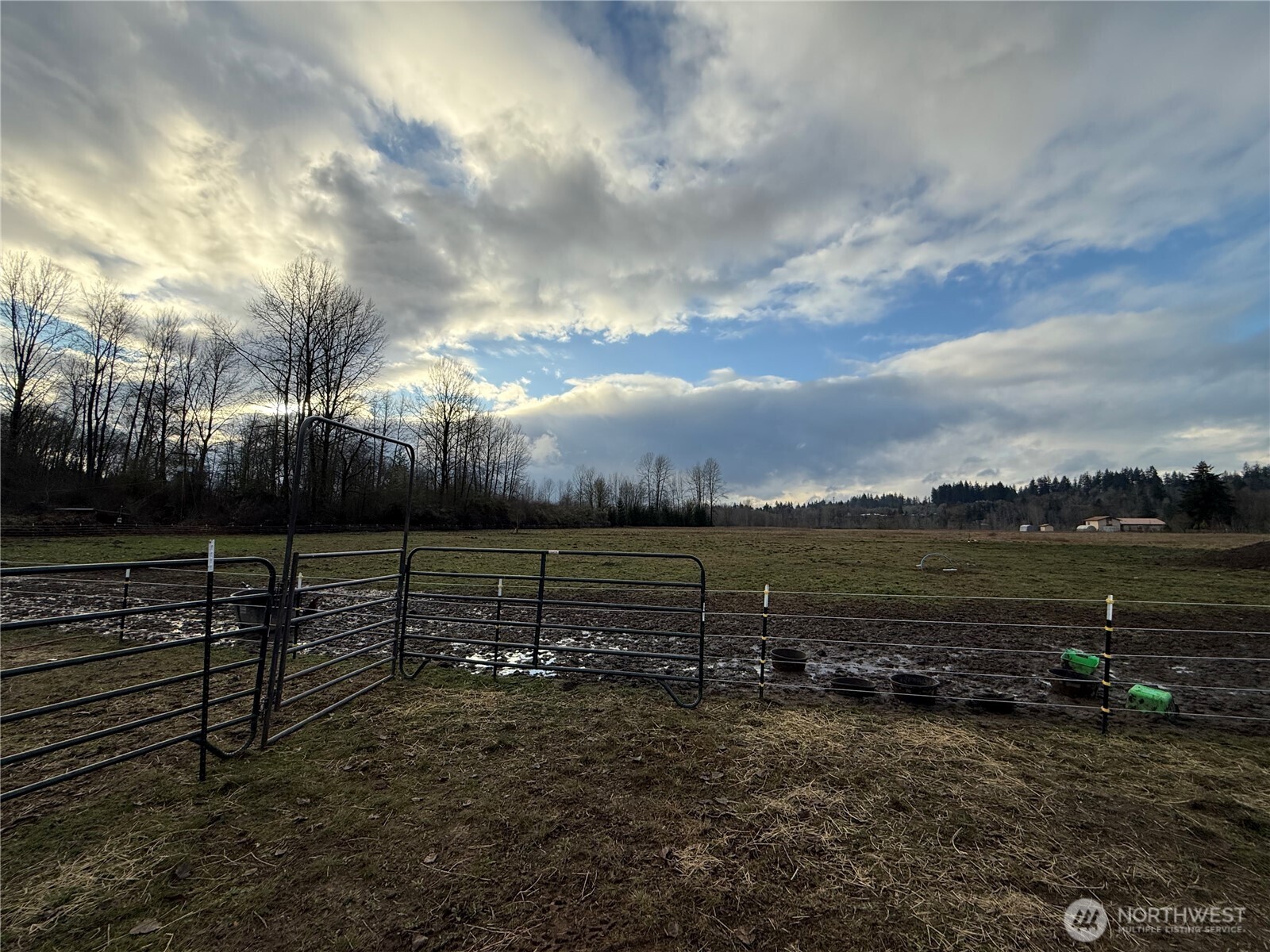 237 Collins Road Toledo, WA 98591 - Photo 2 of 29 Gallery Image 2