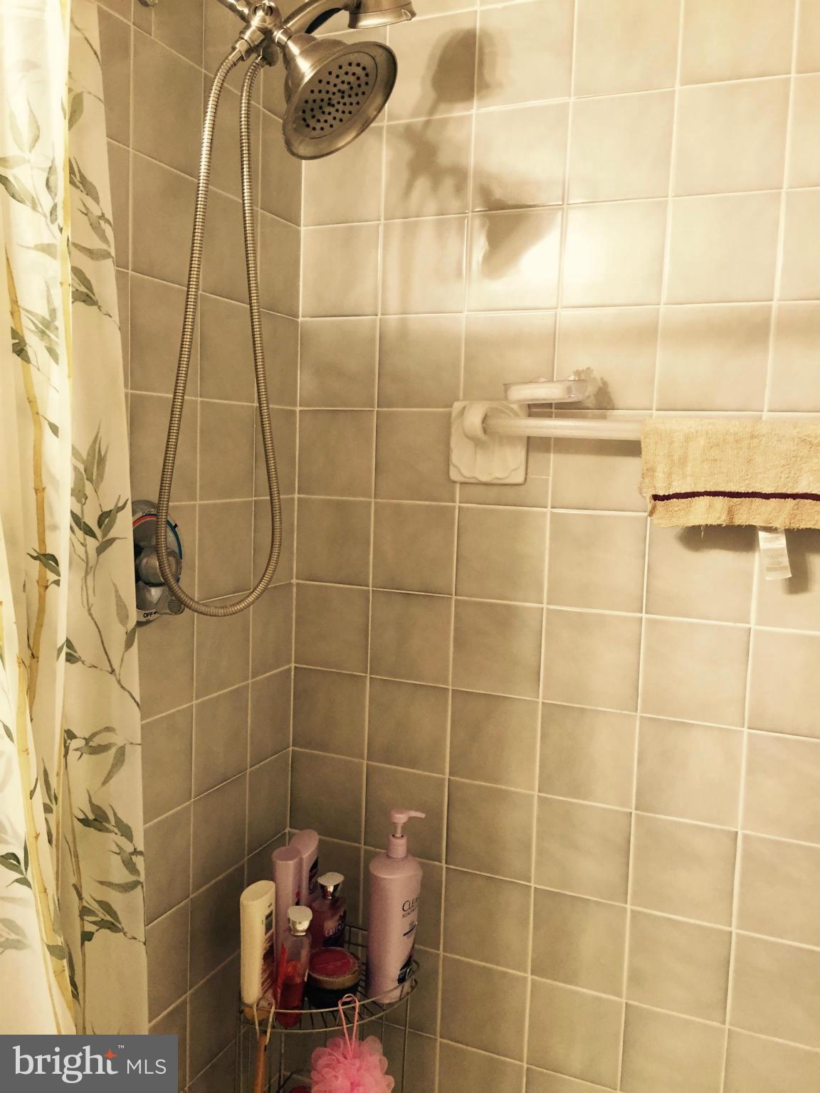 45961 Clarks Road California, MD 20619 - Photo 16 of 27 Bath (Master)