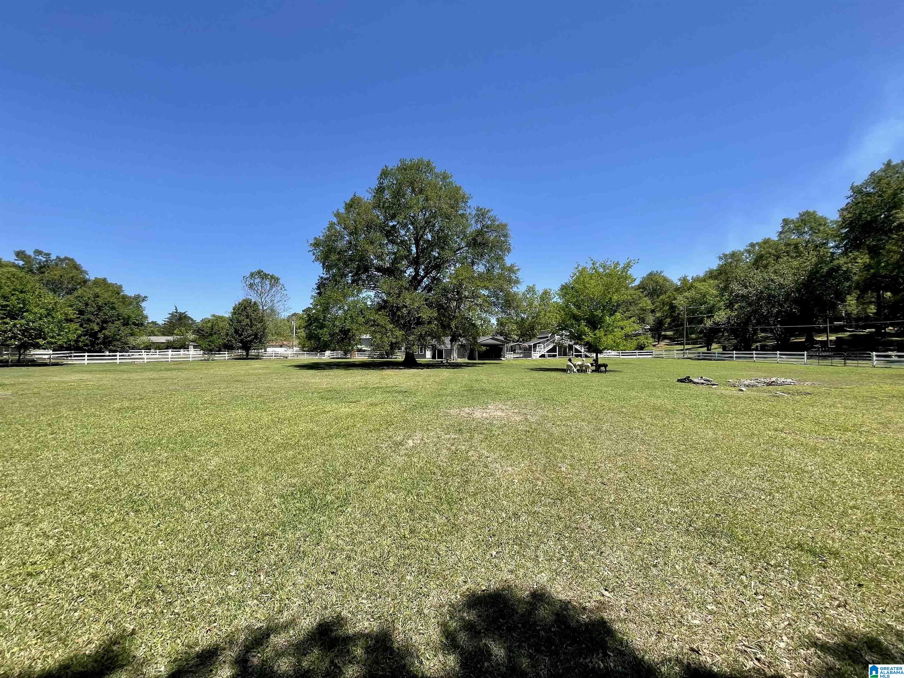 400 Fish Trap Road Cropwell, AL 35054 - Photo 4 of 54