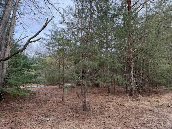 $139,900 | Pihl Road, Kaleva, MI 49645