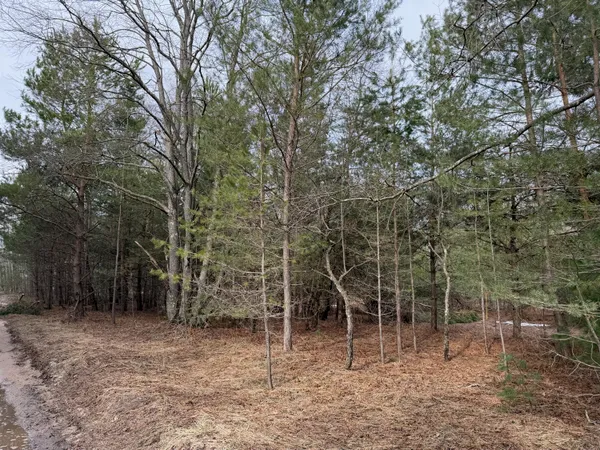 $139,900 | Pihl Road, Kaleva, MI 49645