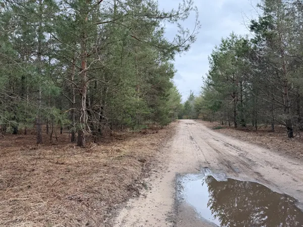 $139,900 | Pihl Road, Kaleva, MI 49645