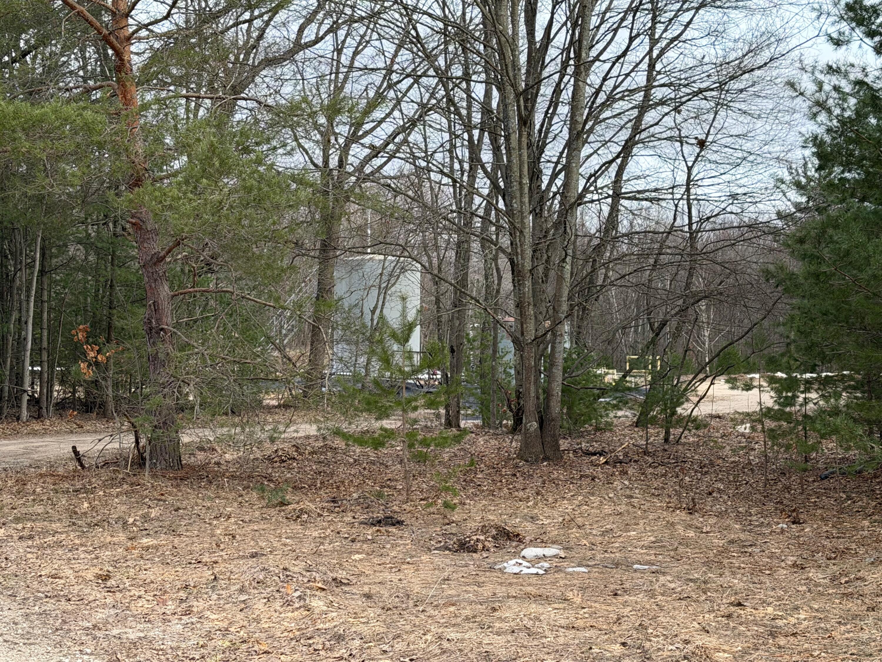 Pihl Road Kaleva, MI 49645 - Photo 8 of 9 IMG_0582