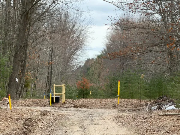 $139,900 | Pihl Road, Kaleva, MI 49645