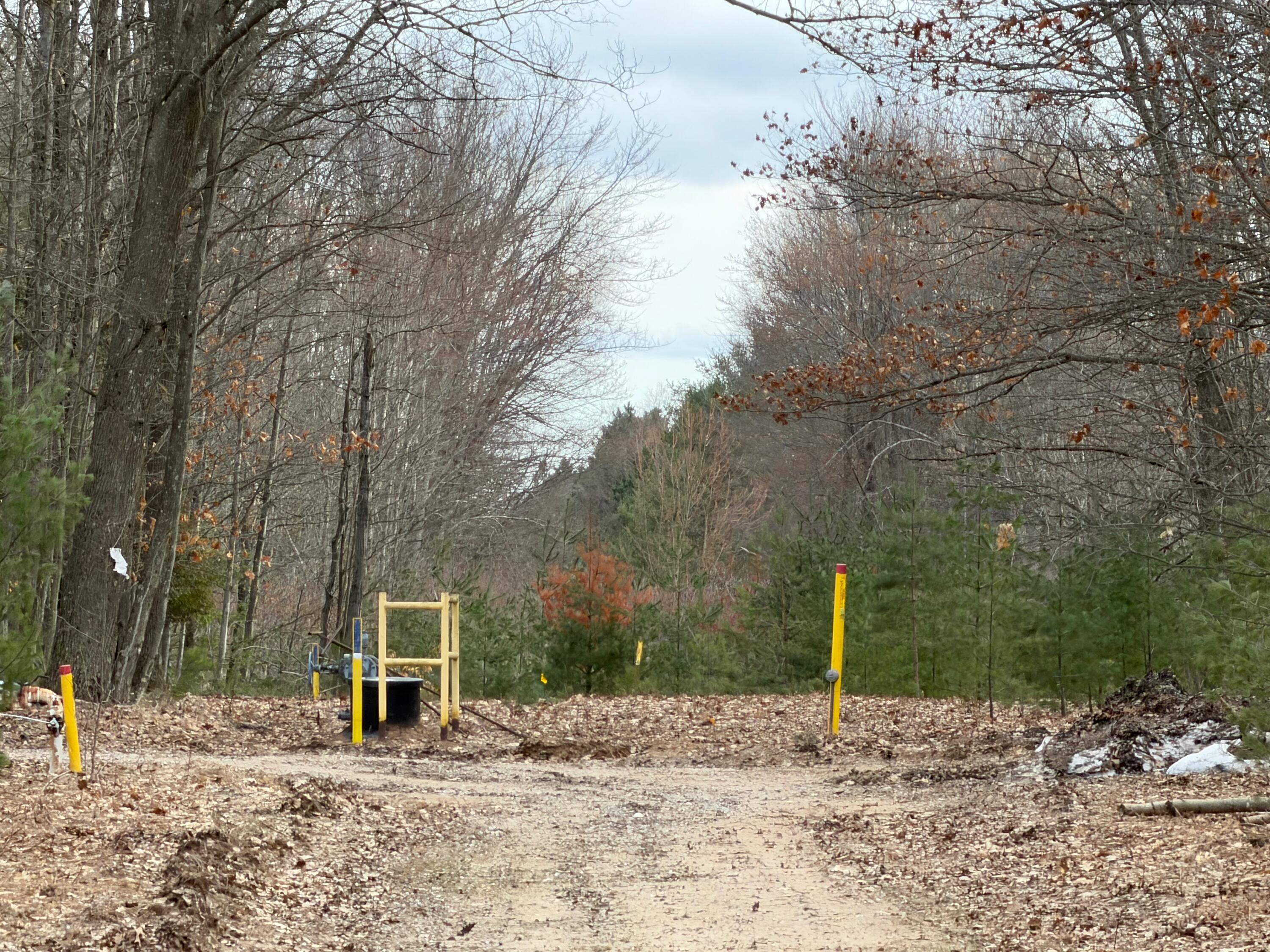 Pihl Road Kaleva, MI 49645 - Photo 9 of 9 IMG_0584