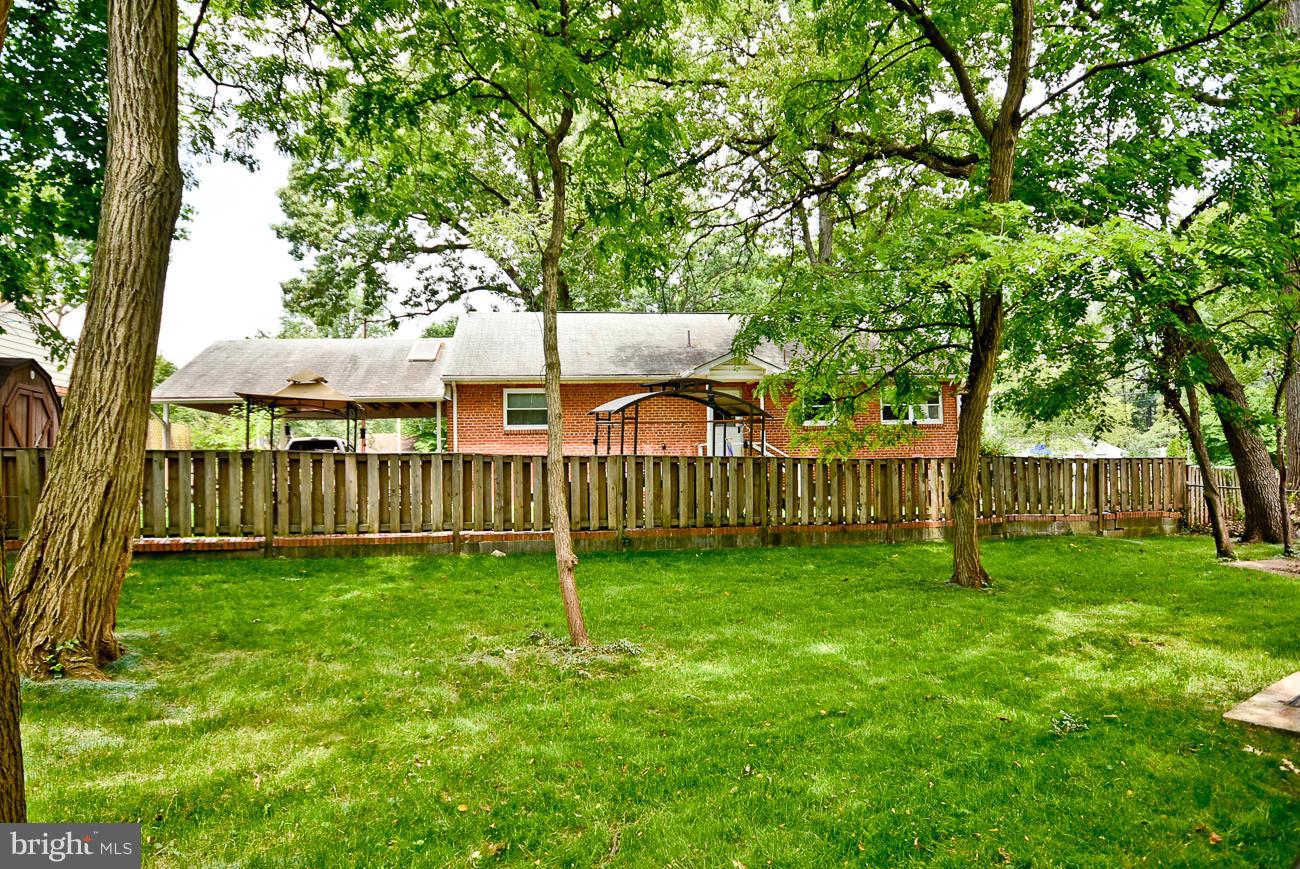 5900 Grayson Street Springfield, VA 22150 - Photo 29 of 30 a view of a yard with plants and large trees