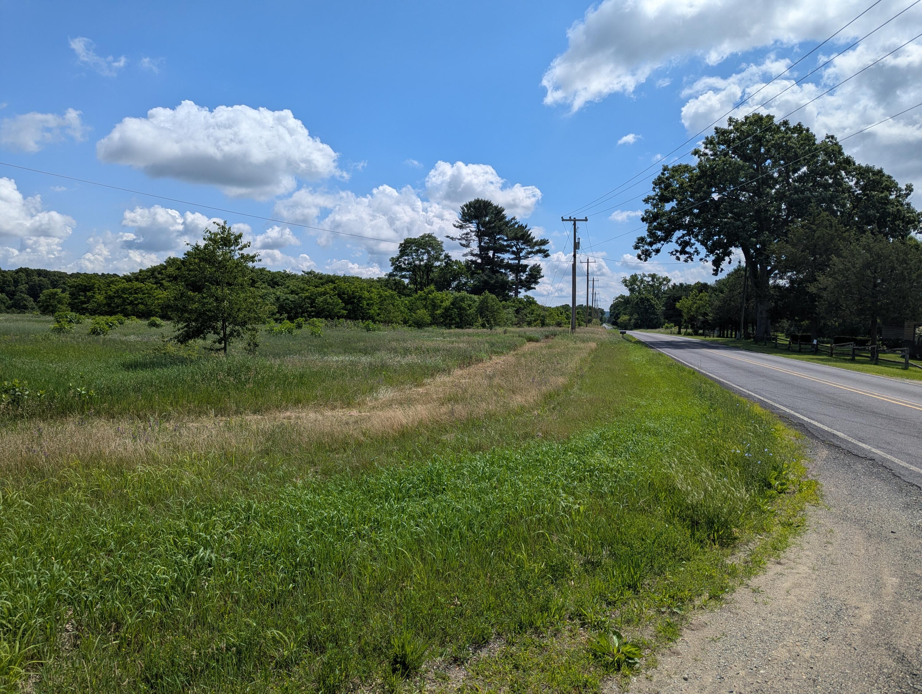 Vl-a County Road 352 Decatur, MI 49045 - Photo 5 of 7 1000004343