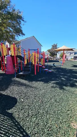a view of a park with palm trees