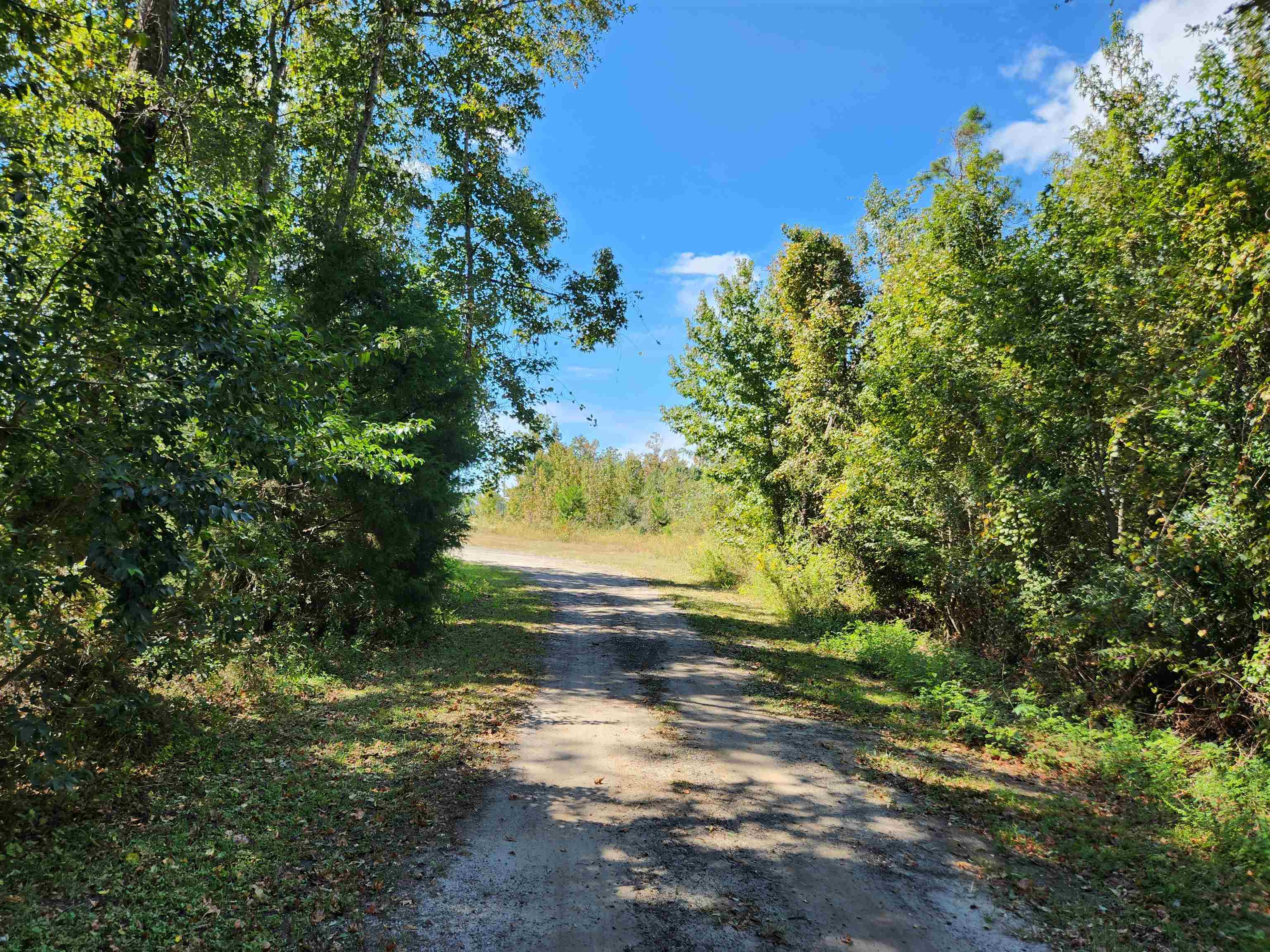 15250 Northwest Sr 20 Road Bristol, FL 32321 - Photo 12 of 15 Gallery Image 12