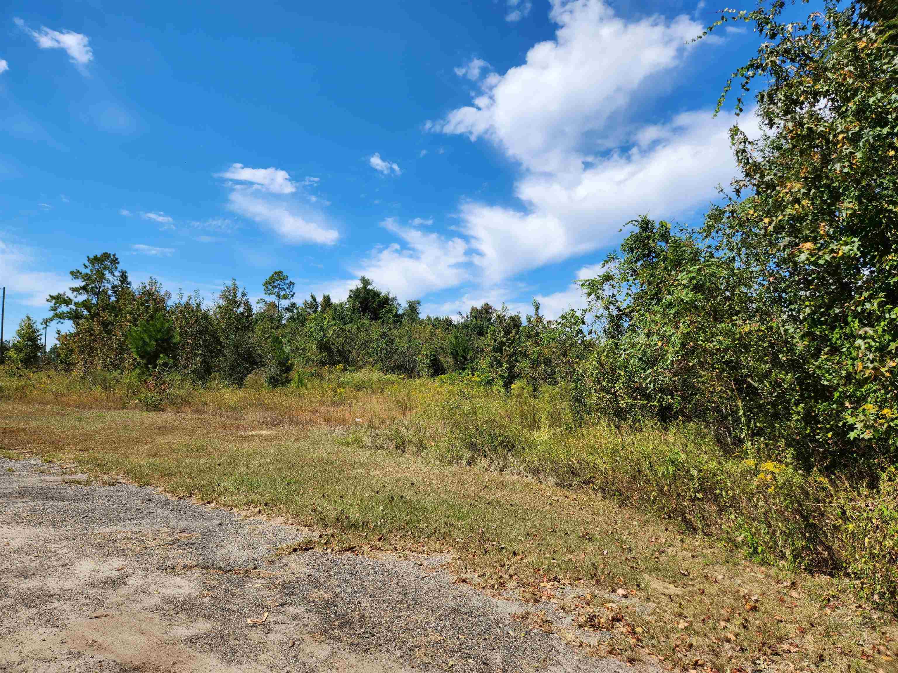 15250 Northwest Sr 20 Road Bristol, FL 32321 - Photo 13 of 15 Gallery Image 13