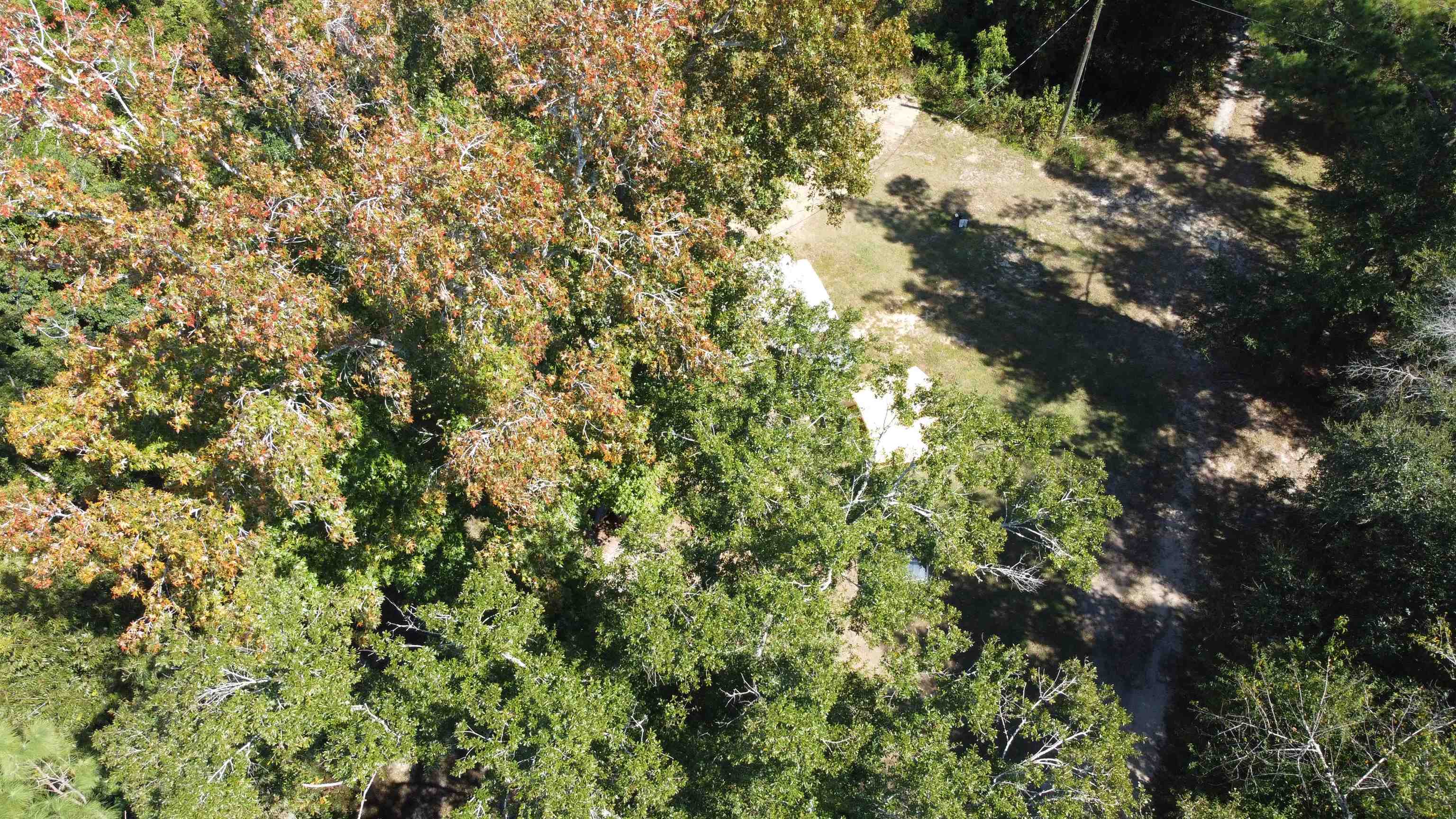 15250 Northwest Sr 20 Road Bristol, FL 32321 - Photo 15 of 15 Gallery Image 15