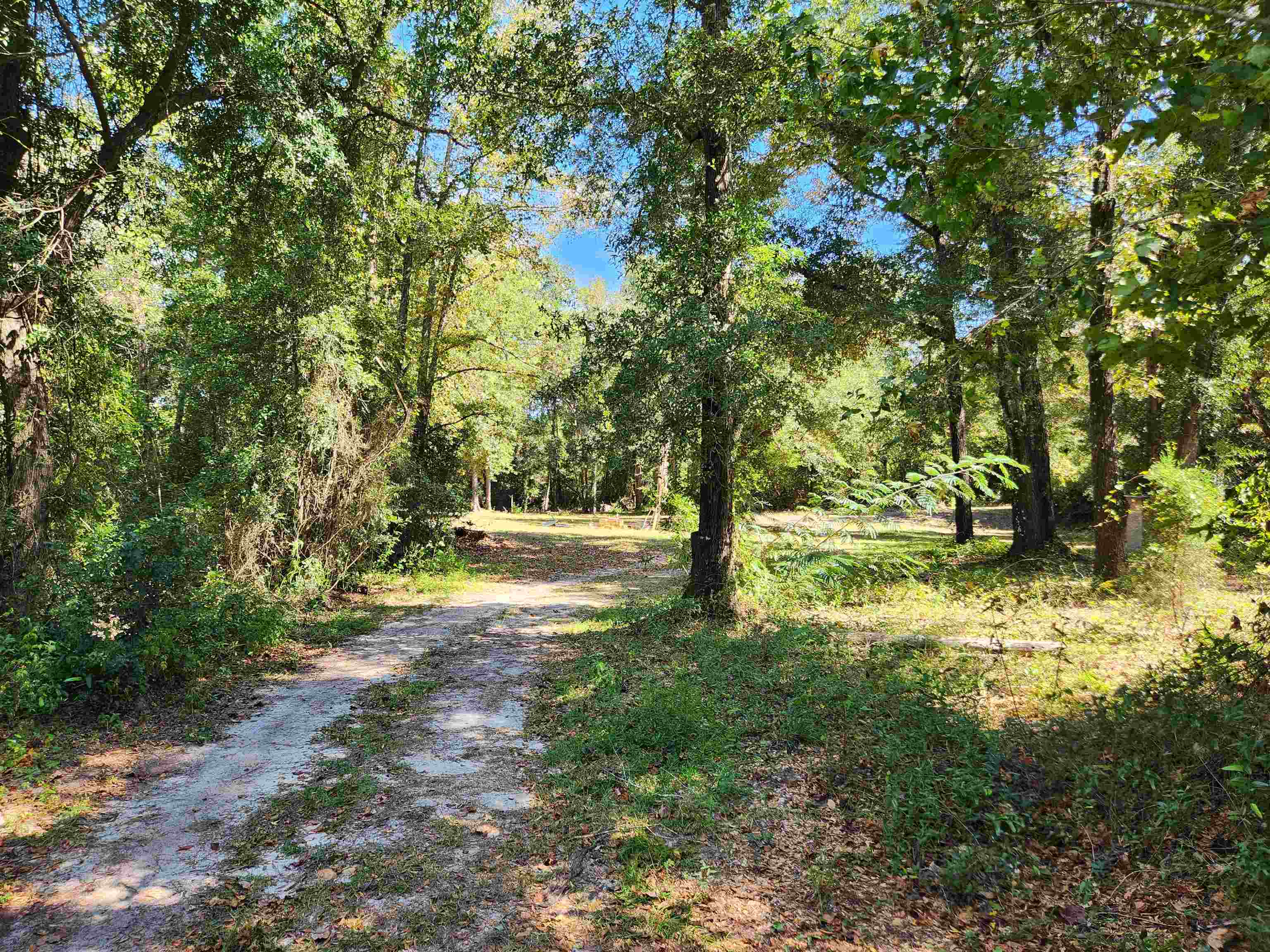 15250 Northwest Sr 20 Road Bristol, FL 32321 - Photo 6 of 15 Gallery Image 6