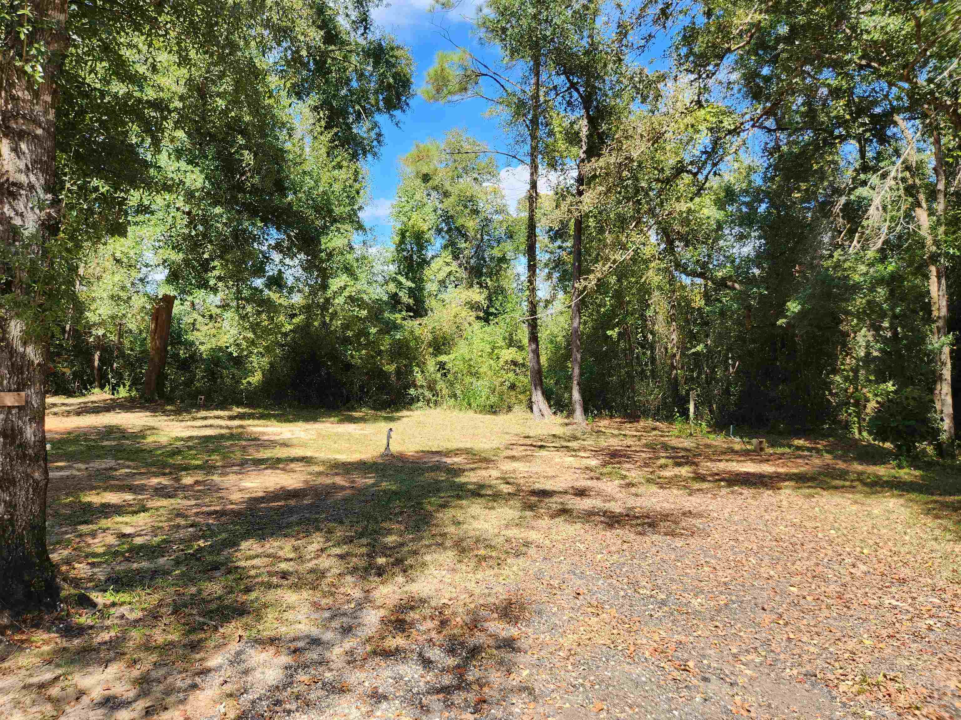 15250 Northwest Sr 20 Road Bristol, FL 32321 - Photo 9 of 15 Gallery Image 9