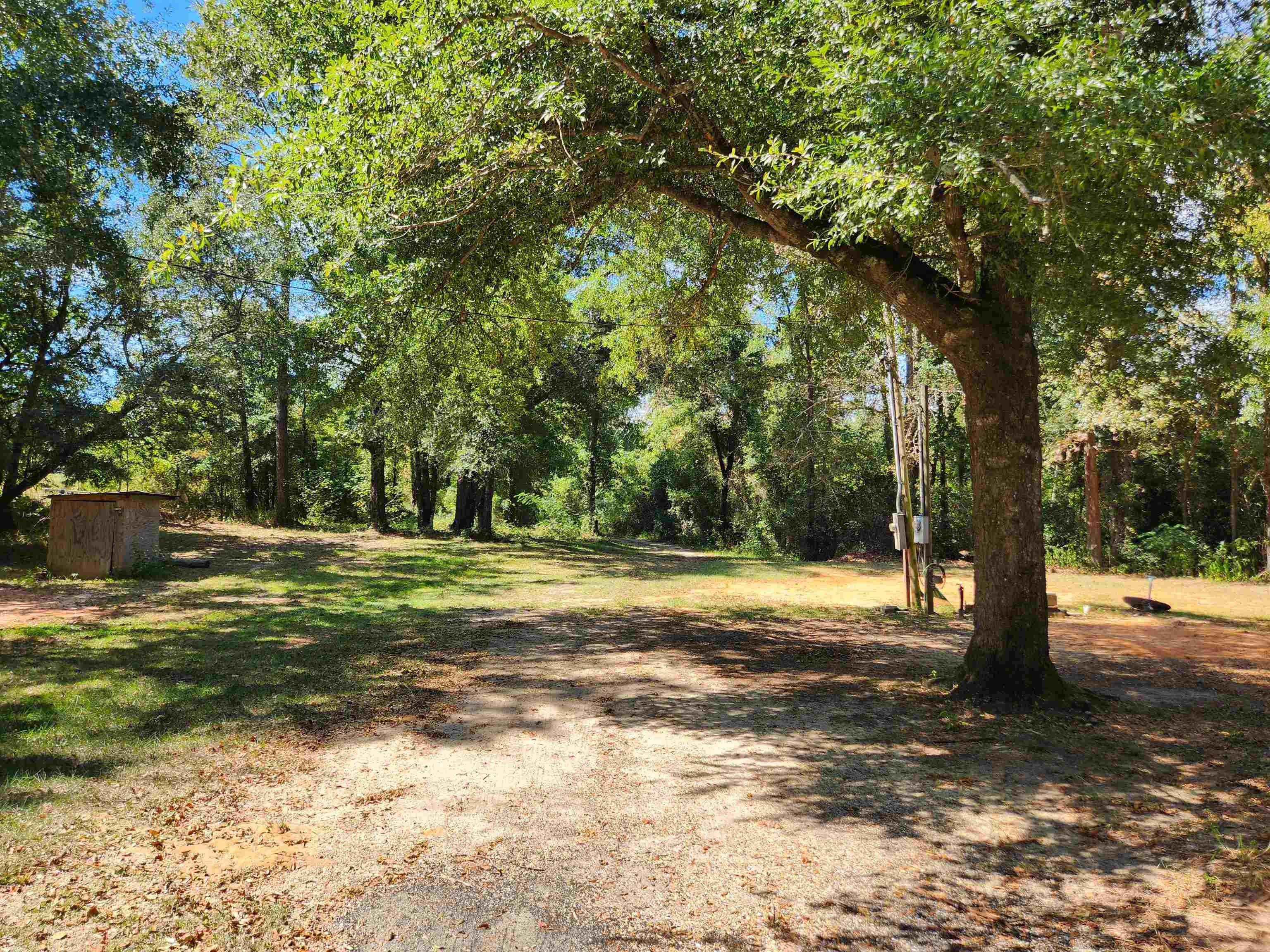 15250 Northwest Sr 20 Road Bristol, FL 32321 - Photo 10 of 15 Gallery Image 10