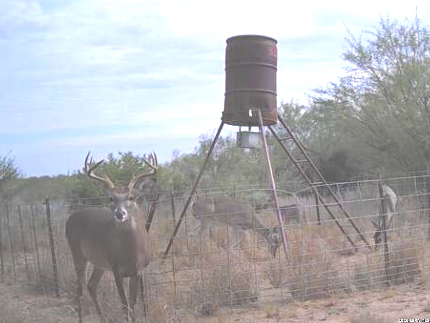0 Off Highway Freer, TX 78357 - Photo 6 of 8