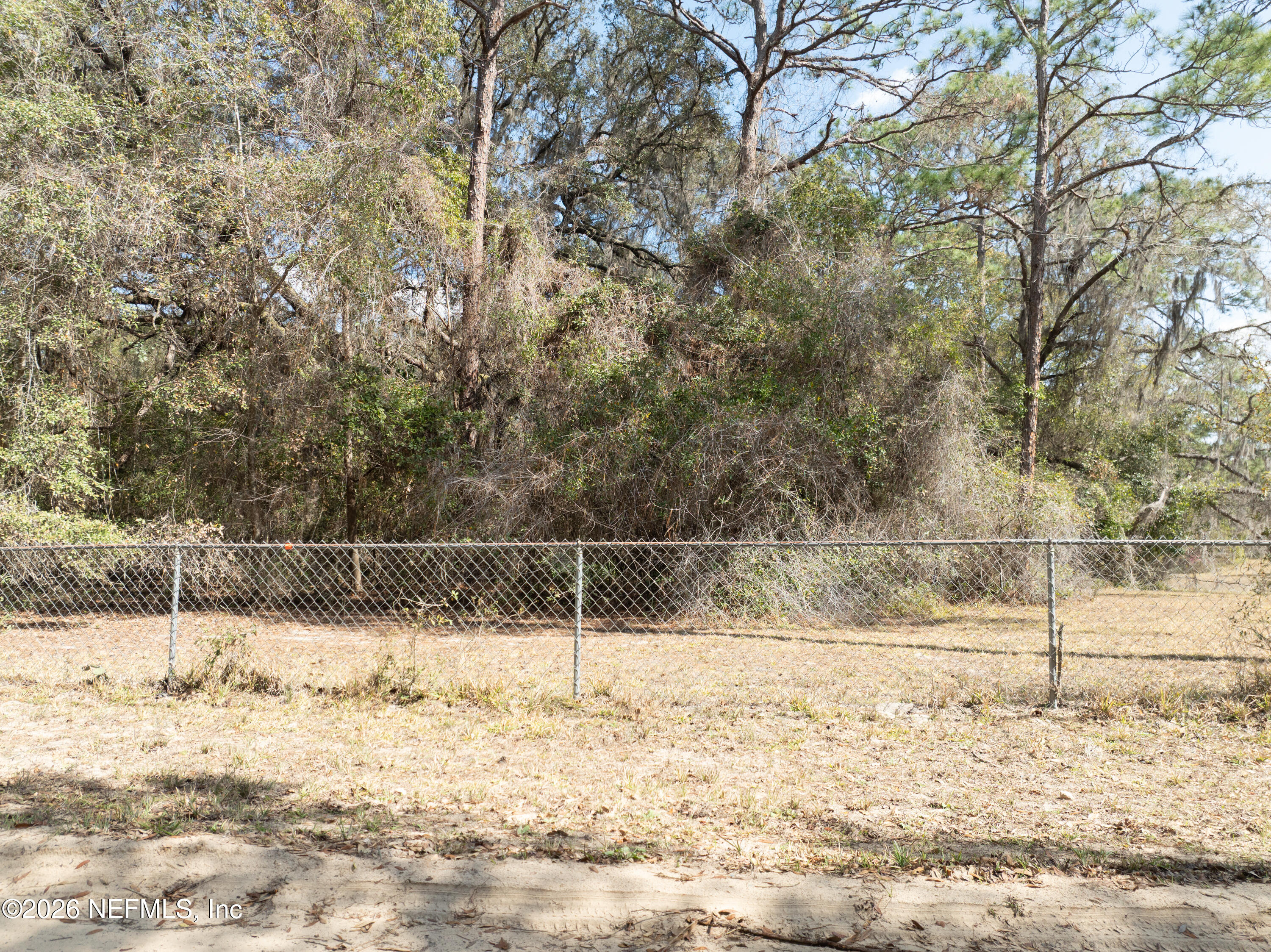 0 Lilly Lake Road Melrose, FL 32666 - Photo 3 of 7 a view of yard