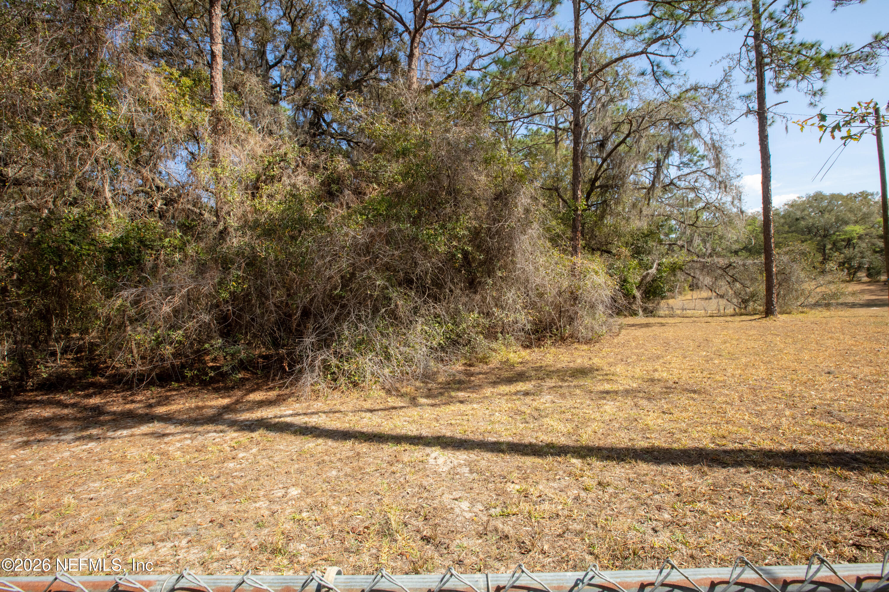 0 Lilly Lake Road Melrose, FL 32666 - Photo 4 of 7 a view of yard covered with snow in front of house