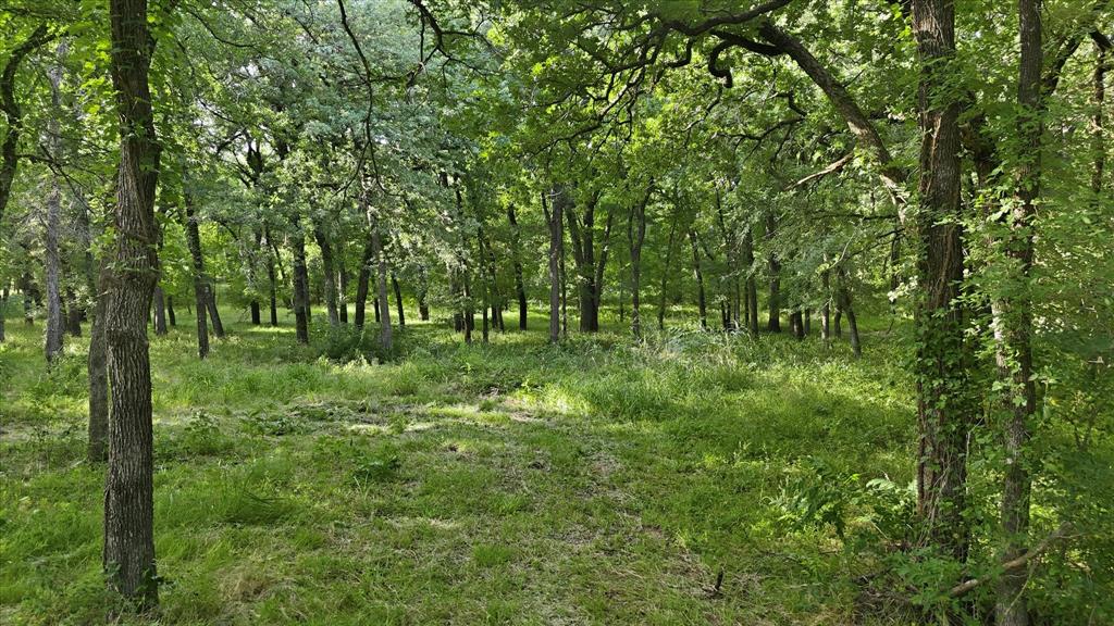 596 County Road 4668 Rhome, TX 76078 - Photo 36 of 40