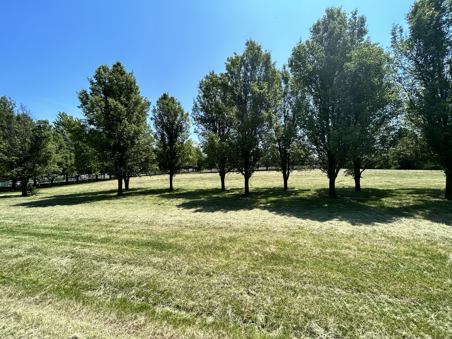 a view of yard with green space