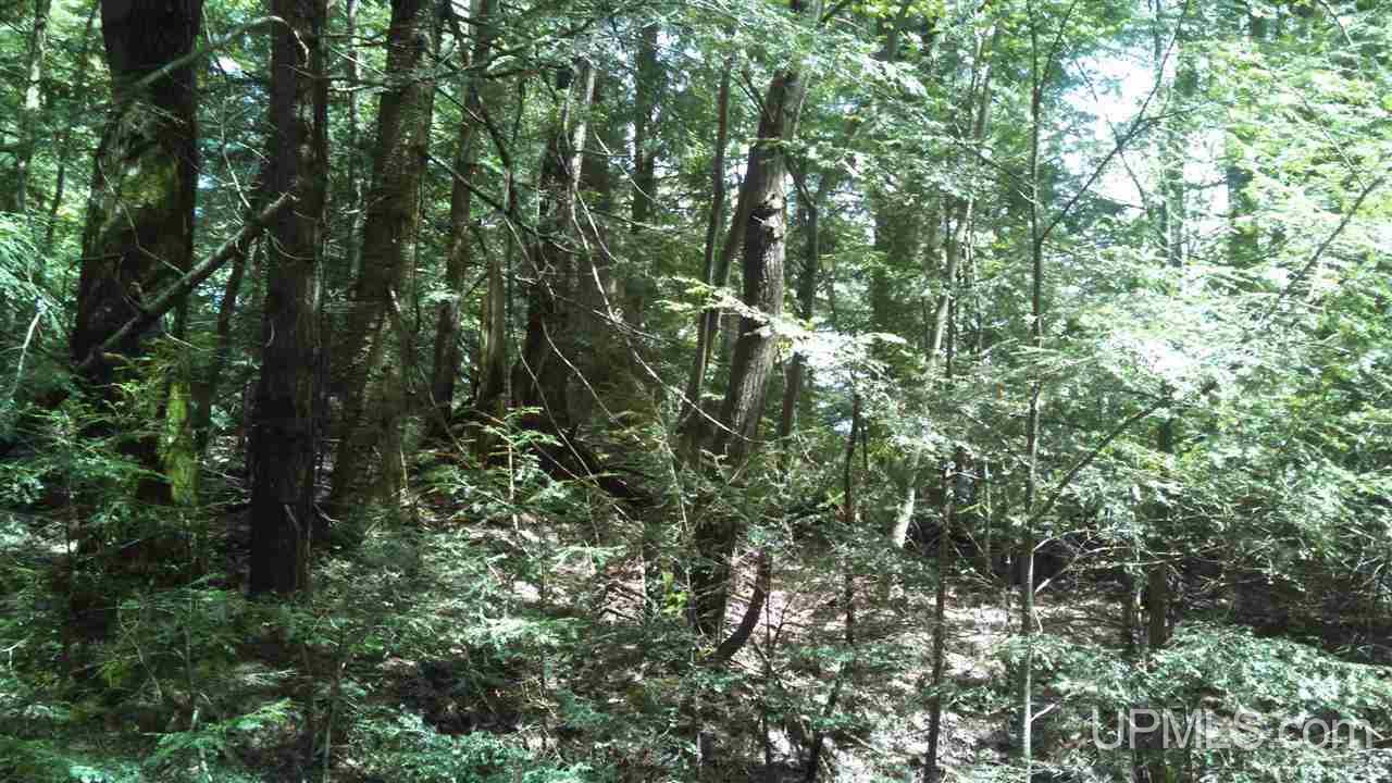 14392 N Crooked Lake Road Shingleton, MI 49884 - Photo 9 of 34