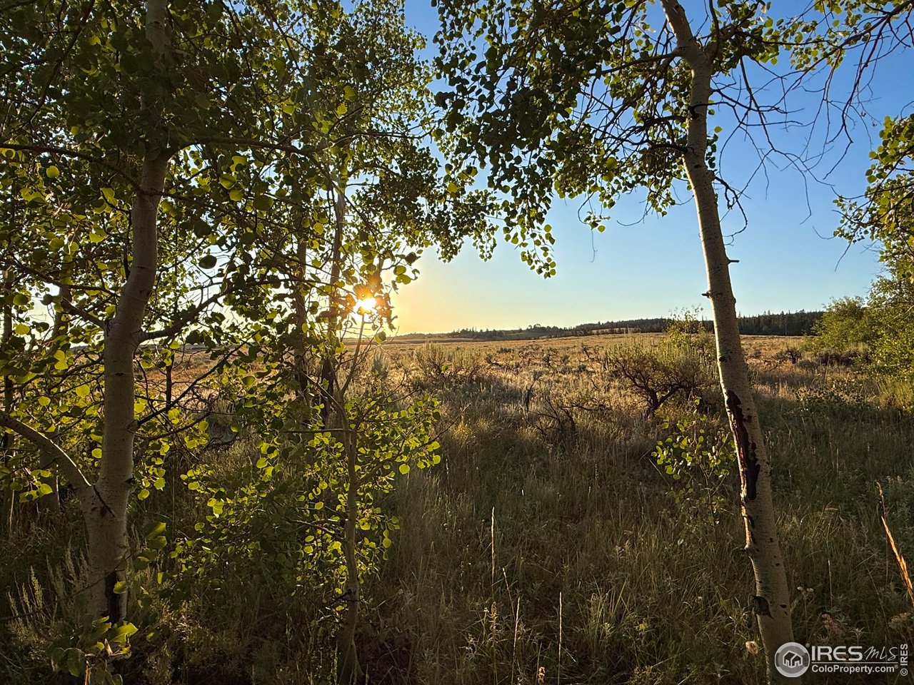 0 Dewclaw Road Livermore, CO 80536 - Photo 12 of 33 Gallery Image 12