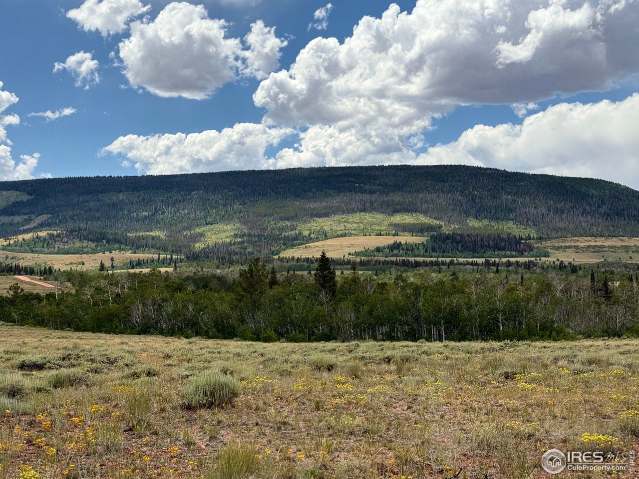 0 Dewclaw Road Livermore, CO 80536 - Photo 10 of 33 Gallery Image 10