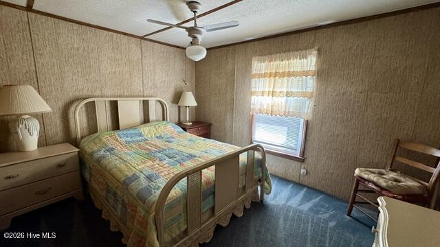 648 Old Church Road Swansboro, NC 28584 - Photo 33 of 36 back bedroom 3