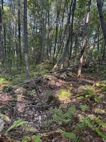 $150,000 | Lot#55 Arlines Way, Bryant Pond, ME 04219