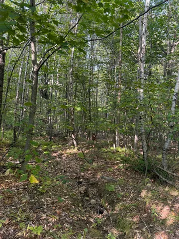 $150,000 | Lot#55 Arlines Way, Bryant Pond, ME 04219