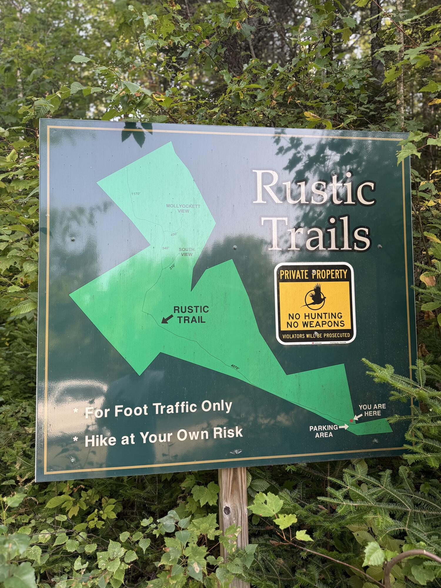 Lot#55 Arlines Way Bryant Pond, ME 04219 - Photo 5 of 13 IMG_1978