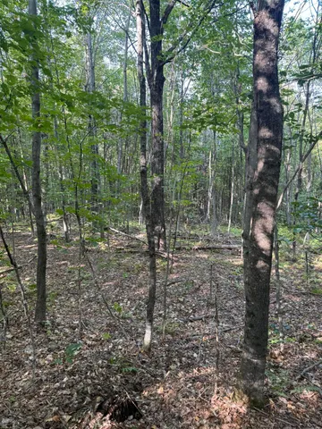 $150,000 | Lot#55 Arlines Way, Bryant Pond, ME 04219