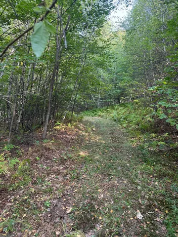$150,000 | Lot#55 Arlines Way, Bryant Pond, ME 04219