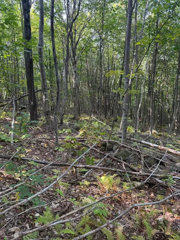 $150,000 | Lot#55 Arlines Way, Bryant Pond, ME 04219