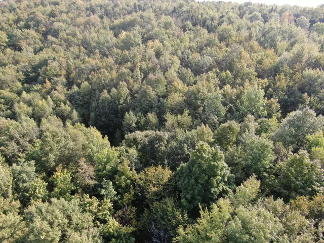 $150,000 | Lot#55 Arlines Way, Bryant Pond, ME 04219