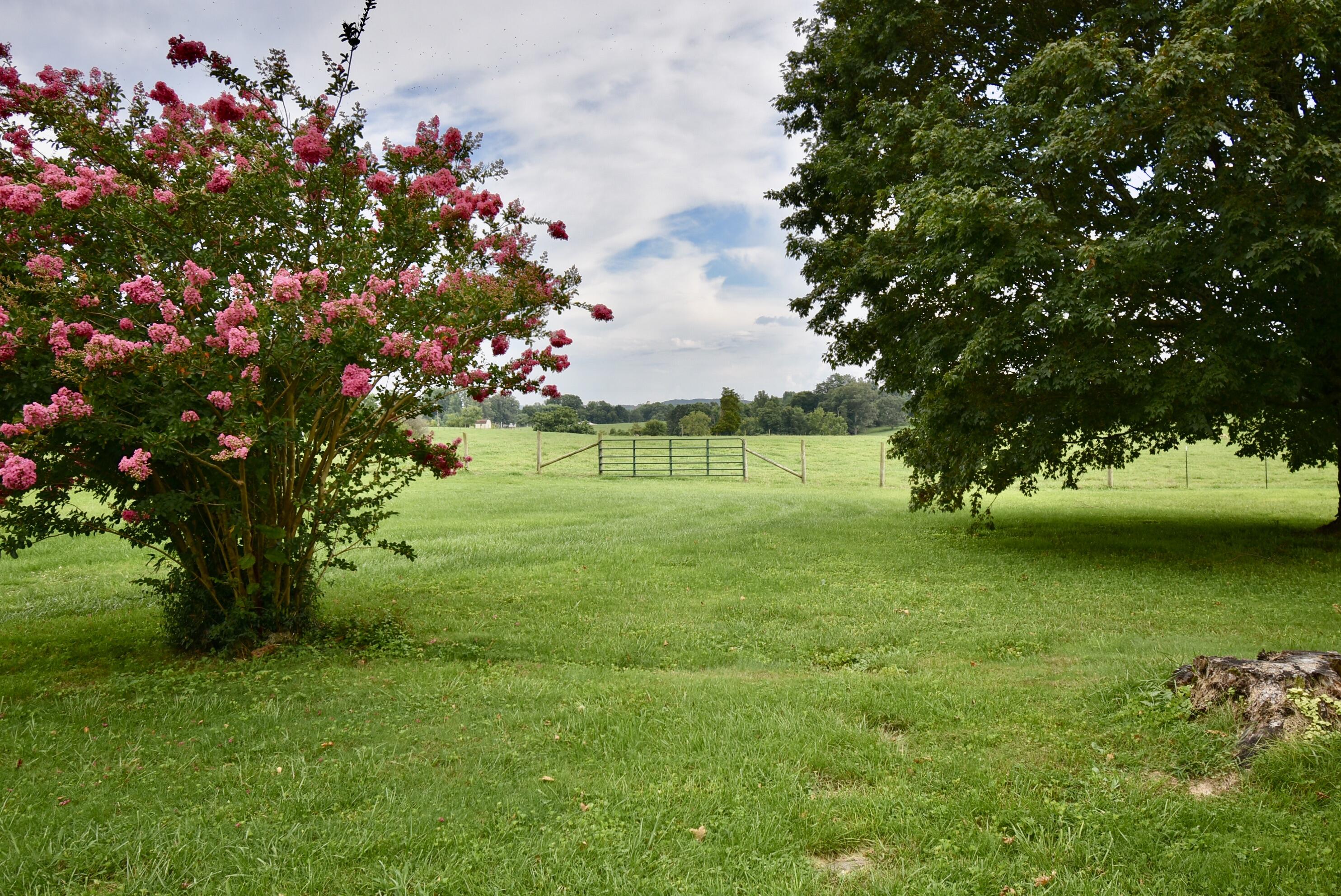 751 Campground Road Somerset, KY 42503 - Photo 50 of 78 EB7588DE-3CAD-4E57-9550-A87F172368FA_1_2