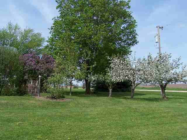 6662 North Oak Road Freeport, IL 61032 - Photo 8 of 9 a garden with trees