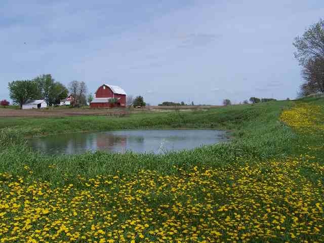 6662 North Oak Road Freeport, IL 61032 - Photo 9 of 9 a view of a lake with a house in the background