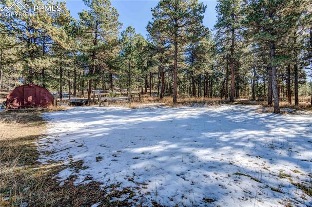 11035 Milam Road Colorado Springs, CO 80908 - Photo 9 of 13 Gallery Image 9