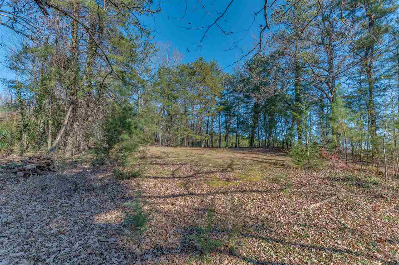 906 Oak Grove Road Landrum, SC 29356 - Photo 23 of 32