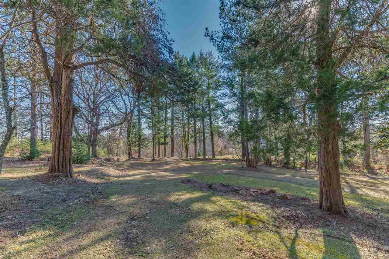 906 Oak Grove Road Landrum, SC 29356 - Photo 3 of 32