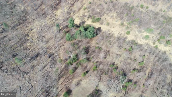 $619,000 | 121 Sweetbriar Lane, Winchester, VA 22603