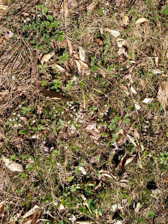 0 Howland Road Lagrange, ME 04453 - Photo 7 of 8 Photo