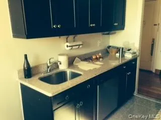 a kitchen with a sink cabinets and utility